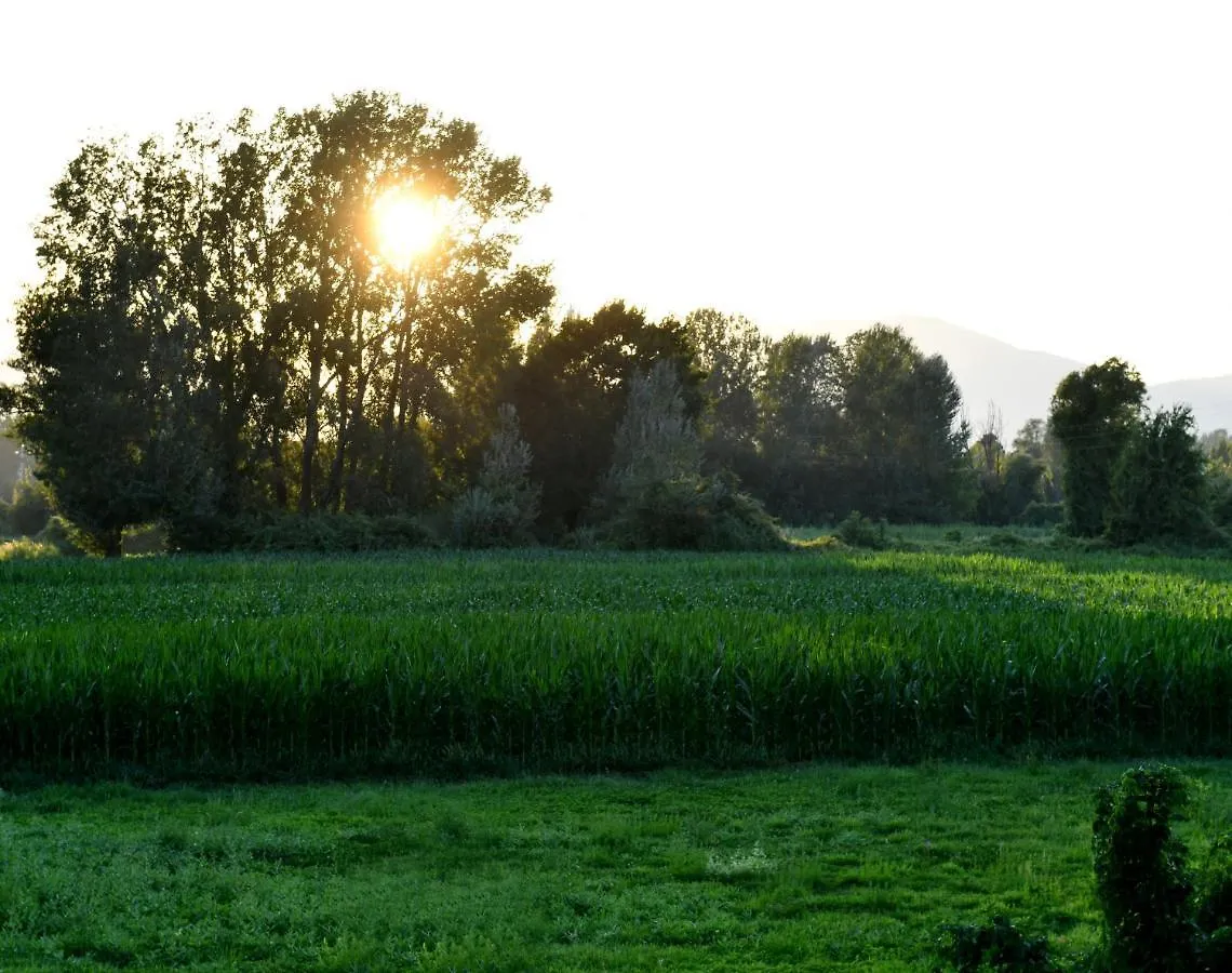 Affittacamere Kododo In Tuscany Lucca
